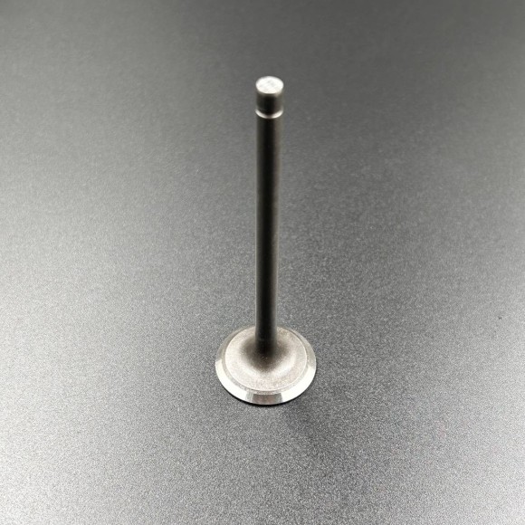 Клапан впускной Yamaha F75-115 (Yamaha)