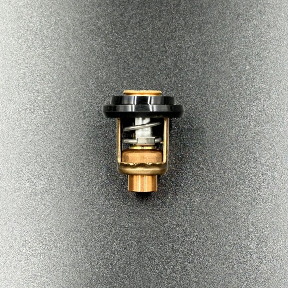 Термостат Yamaha 3-55 (Yamaha)