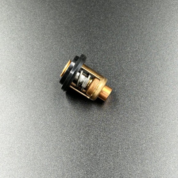 Термостат Yamaha 3-55 (Yamaha)
