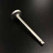 Клапан впускной Suzuki DF40-50 (Suzuki)