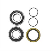 Комплект подшипников BRP SM-03168