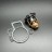 Термостат THERMOSTAT KIT (Quicksilver)