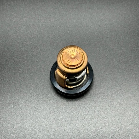 Термостат THERMOSTAT KIT (Quicksilver) Термостат THERMOSTAT KIT (Quicksilver)