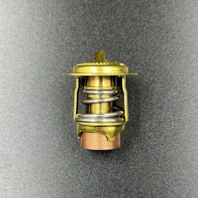 Термостат Mercury 135-200 (Omax)