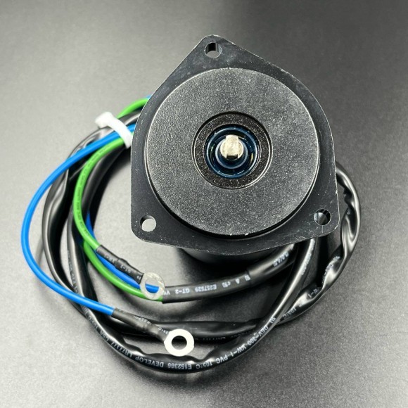 Мотор гидроподъемника Yamaha 40-50, F40-50 (Короткий шток!) (1995-1999 г.в.) (AMOSA) Мотор гидроподъемника Yamaha 40-50, F40-50 (Короткий шток!) (1995-1999 г.в.) (AMOSA)