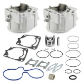 Ремкомплект цилиндров СТАНДАРТ Sledex для Polaris Ремкомплект цилиндров СТАНДАРТ Sledex для Polaris