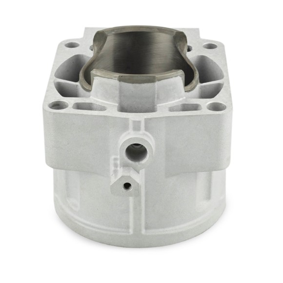 Ремкомплект цилиндров СТАНДАРТ Sledex для Polaris