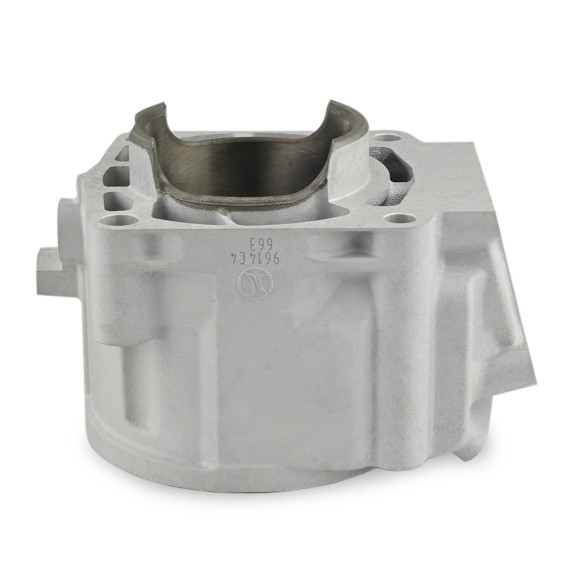 Ремкомплект цилиндров СТАНДАРТ Sledex для Polaris