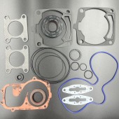Полный комплект прокладок  Polaris 600 EFI (2016-2018) (KINETIX) Полный комплект прокладок  Polaris 600 EFI (2016-2018) (KINETIX)