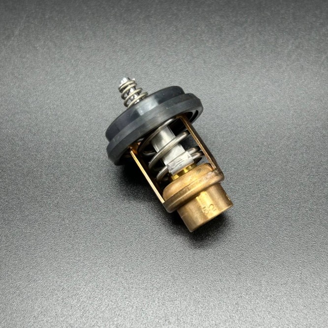 Термостат THERMOSTAT (Quicksilver)