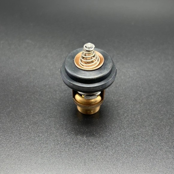 Термостат THERMOSTAT (Quicksilver) Термостат THERMOSTAT (Quicksilver)