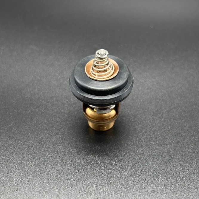 Термостат THERMOSTAT (Quicksilver)
