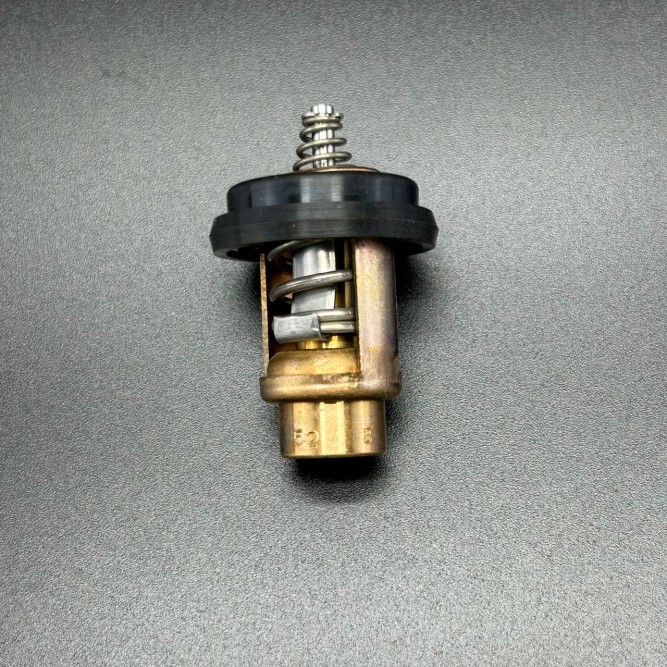 Термостат THERMOSTAT (Quicksilver)