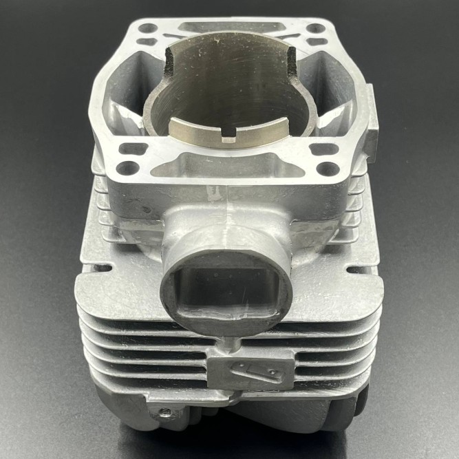 Цилиндр Yamaha BR250 (Yamaha)