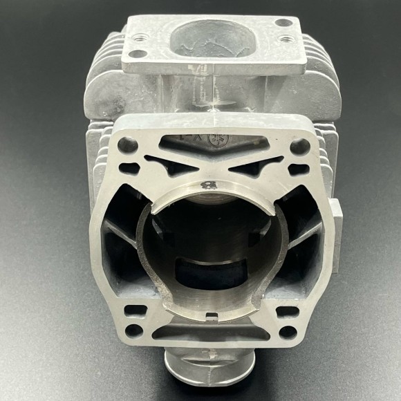 Цилиндр Yamaha BR250 (Yamaha)