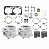 Ремкомплект цилиндров СТАНДАРТ Sledex для Arctic Cat