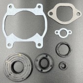 Ремкомплект двигателя  Yamaha Bravo 250 (1984-2011) (KINETIX)