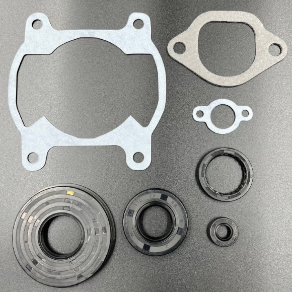 Ремкомплект двигателя  Yamaha Bravo 250 (1984-2011) (KINETIX)