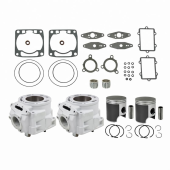 Ремкомплект цилиндров СТАНДАРТ Sledex для Arctic Cat