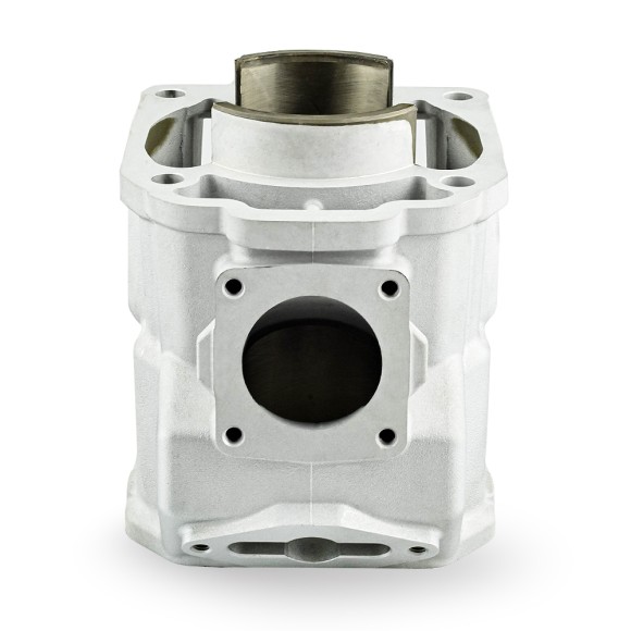 Ремкомплект цилиндров СТАНДАРТ Sledex для Ski-Doo (алюминий) алюминий Ремкомплект цилиндров СТАНДАРТ Sledex для Ski-Doo (алюминий) алюминий