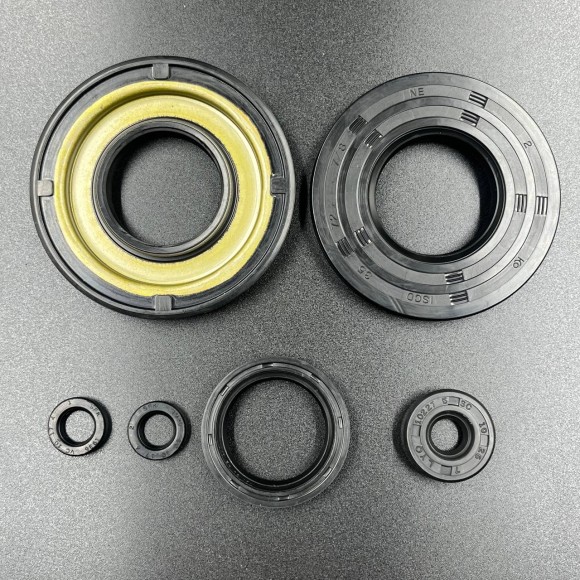 Ремкомплект двигателя SKI-DOO 600 2-cyl (00-03)(420888582) (KINETIX)