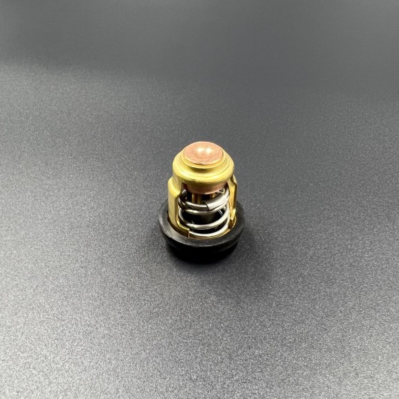 Термостат Yamaha 3-250 (KACAWA)