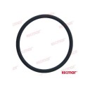 Кольцо уплотнительное Volvo Penta AQ131-251, Recmar