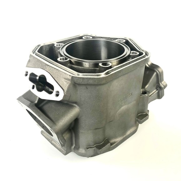 Цилиндр Sledex для Ski-Doo