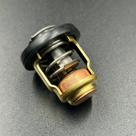 Термостат Yamaha 3-250 (Omax)