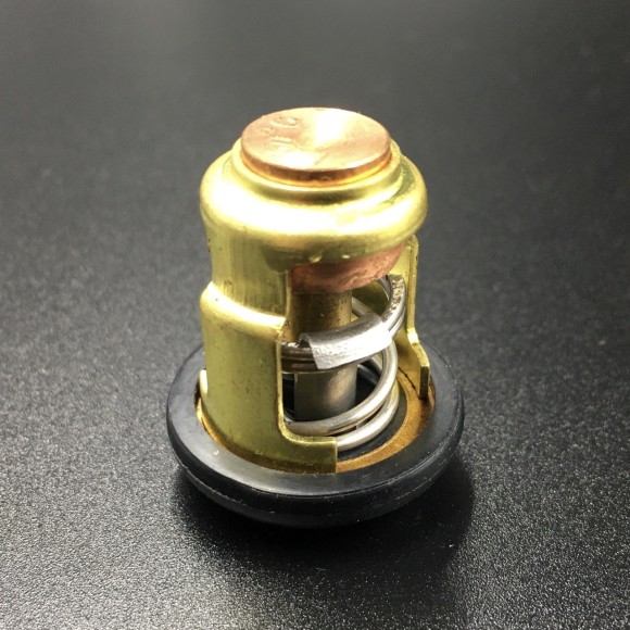 Термостат Yamaha 3-250 (Omax)