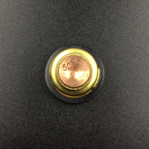 Термостат Yamaha 3-250 (Omax)