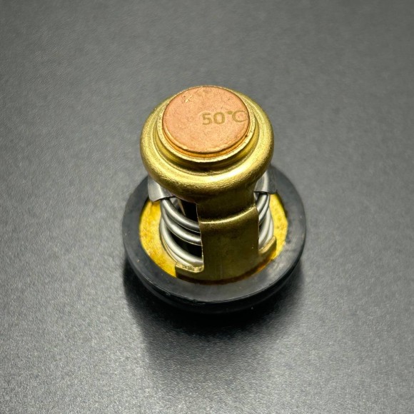 Термостат Yamaha 3-250 (Omax)