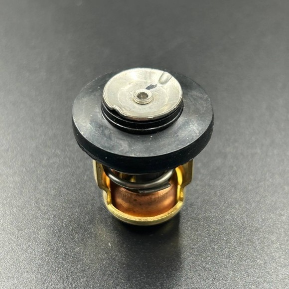 Термостат Yamaha 3-250 (Omax)