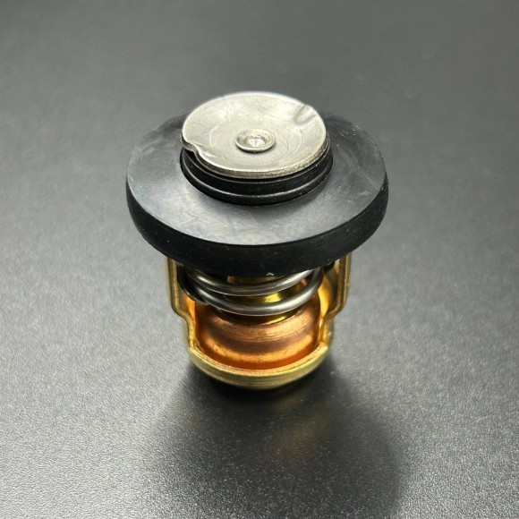 Термостат Mercury/Yamaha 8-15 4т (60°С) (66M-12411-01; 6G8-12411-00) (Omax)