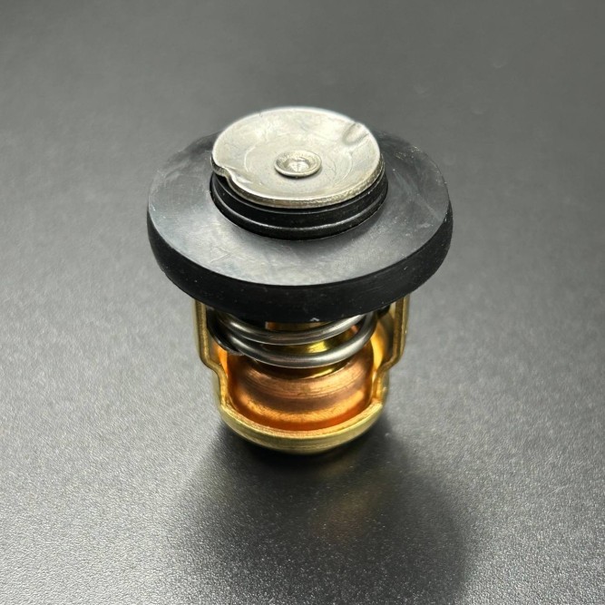 Термостат Mercury/Yamaha 8-15 4т (60°С) (66M-12411-01; 6G8-12411-00) (Omax)