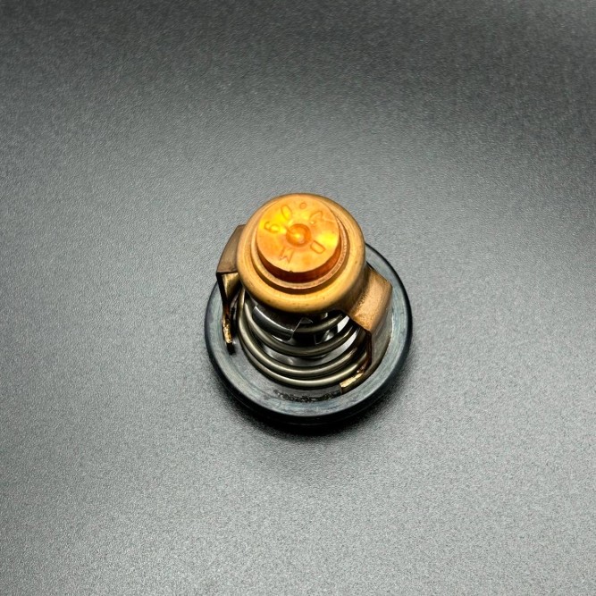 Термостат THERMOSTAT (Quicksilver)