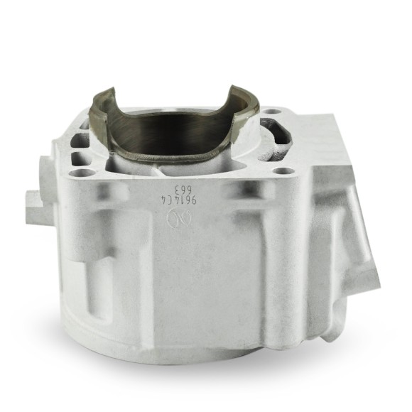 Цилиндр Sledex для Polaris