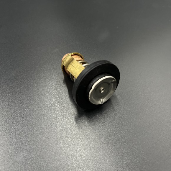 Термостат Yamaha F115 (Osaka)