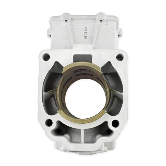 Цилиндр BRP 600HO SDI SM-09603 Цилиндр BRP 600HO SDI SM-09603