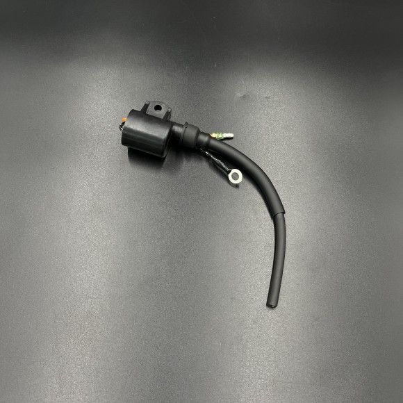 Катушка зажигания COIL-IGNITION (Quicksilver) Катушка зажигания COIL-IGNITION (Quicksilver)