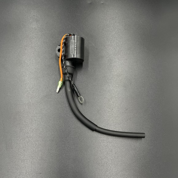 Катушка зажигания COIL-IGNITION (Quicksilver) Катушка зажигания COIL-IGNITION (Quicksilver)