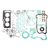 Полный комплект прокладок BRP 900 ACE SM-09529F