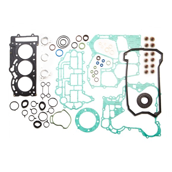 Полный комплект прокладок BRP 900 ACE SM-09529F