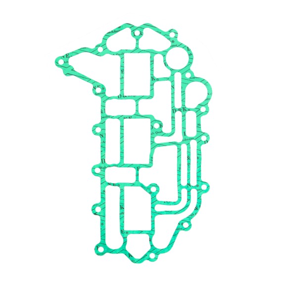 Полный комплект прокладок BRP 900 ACE SM-09529F