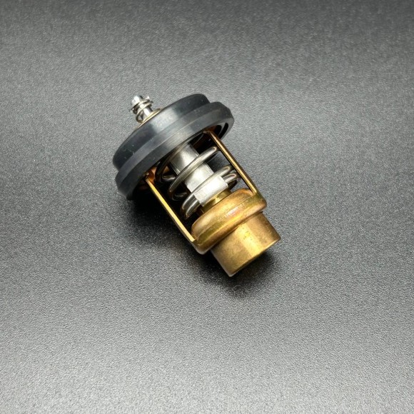 Термостат THERMOSTAT (Quicksilver) Термостат THERMOSTAT (Quicksilver)