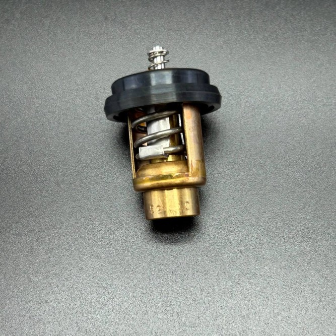 Термостат THERMOSTAT (Quicksilver)