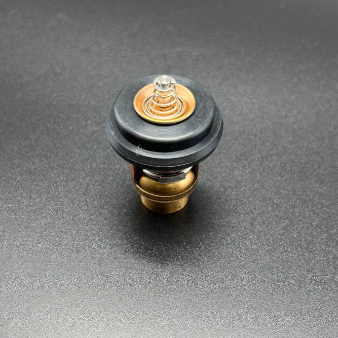 Термостат THERMOSTAT (Quicksilver)