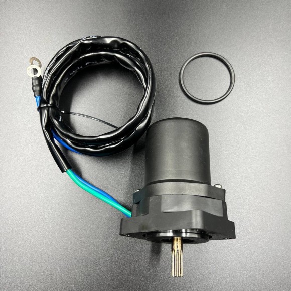 Мотор гидроподъемника Yamaha F25-40 (67C-43880-00) (Premarine)