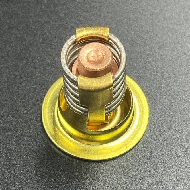 Термостат Mercury(130°F)  (JSP)