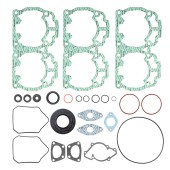 Полный комплект прокладок BRP 593LC 09-711259